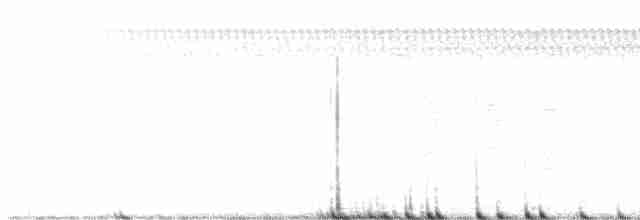 Прерийный кроншнеп - ML473661761