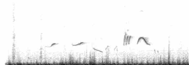 Rufous Fieldwren - ML473833051
