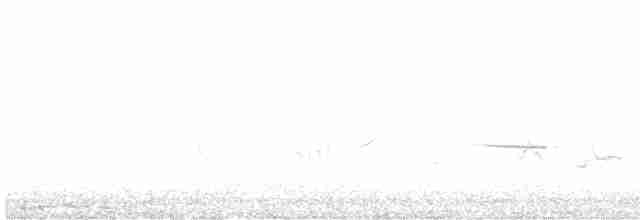 Дрізд-короткодзьоб плямистоволий - ML473884681