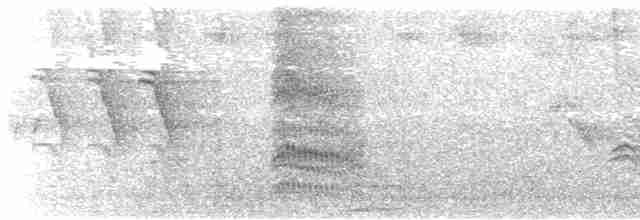 Чешуйчатогрудый пересмешник - ML473921461