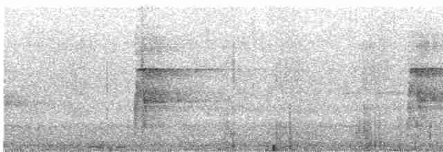 Pic chevelu (groupe villosus) - ML473973381