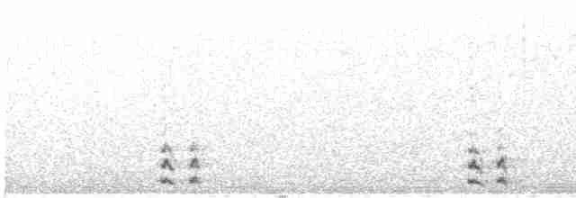 Ak Kuyruklu Kar Tavuğu - ML474024311