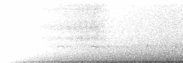 Кулик-сорока довгодзьобий - ML474035091