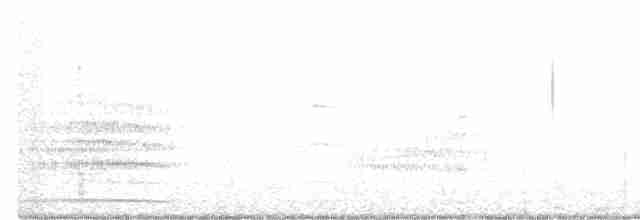 Какатоїс буроголовий - ML474055421