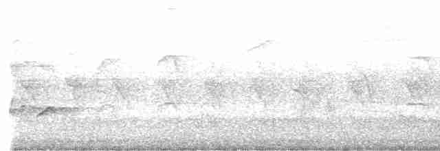 Fork-tailed Drongo-Cuckoo - ML474060201