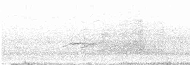 White-tailed Kite - ML474101201