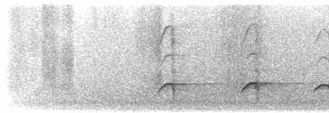 Kanada Kargası (obscurus/griseus) - ML474151381