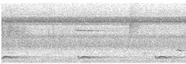Gray-cheeked Warbler - ML474313671