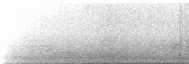 holub chocholatý - ML474315201