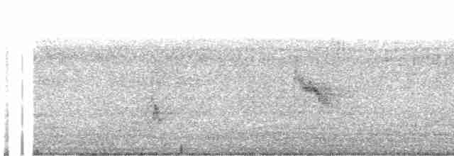 Эполетовый трупиал (cayanensis) - ML474320061