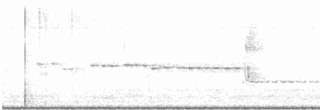 Weißkehlgerygone - ML474333081