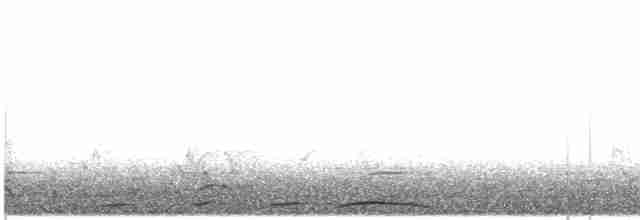 Kısa Gagalı Kızılca Güvercin - ML474347511