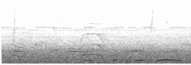 Kısa Gagalı Kızılca Güvercin - ML474347521