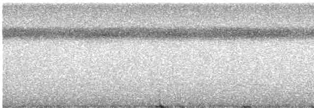 Trogon de Masséna - ML474471681