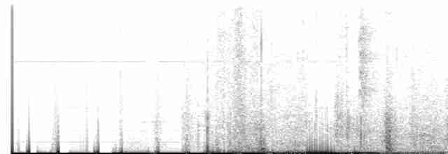 White-eared Hummingbird - ML474535111
