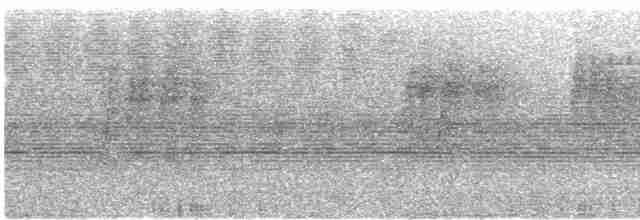 Spot-necked Babbler - ML474540001
