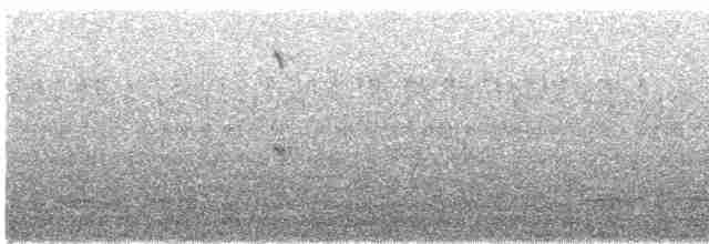 Большой пегий зимородок - ML474543661