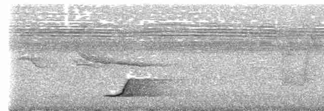 Tinamou à grands sourcils - ML474669861