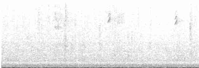 Sparkling-tailed Hummingbird - ML474777511