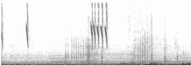 Colibri à queue singulière - ML474780261