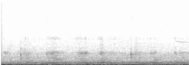 Çatal Kuyruklu Ormanyıldızı - ML474781891