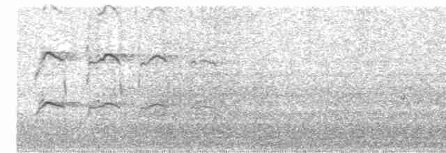 Eurasian Oystercatcher - ML474803541