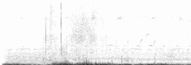 Cüce Kumkuşu - ML474816131