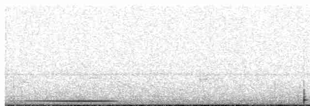 holub šedočelý - ML474870991
