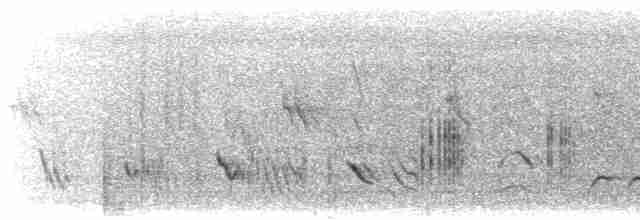 Большая ласточка (hesperia) - ML474975921