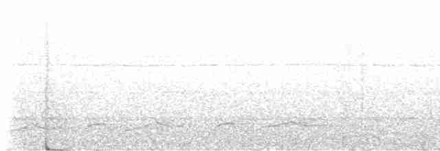 Lyre-tailed Nightjar - ML474998191
