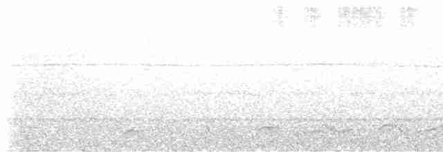 Lyre-tailed Nightjar - ML474998231