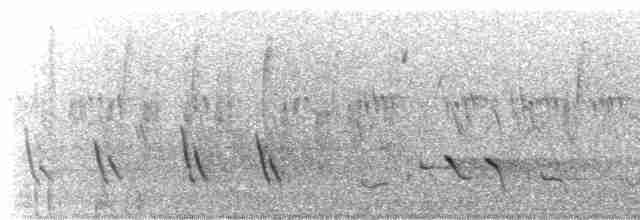 Hirondelle noire (hesperia) - ML475005031