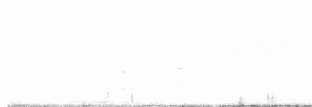 Черноухая крачка - ML475016981