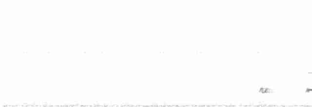 Chevêchette brune - ML475042541