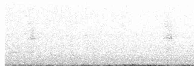 White-cheeked Honeyeater - ML475063081