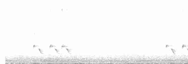 Streifenpanthervogel - ML475080861