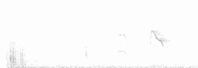 Ak Kaşlı Bülbül Tiranı - ML475154421