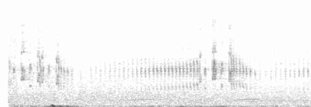 Ekru Tepeli Tiranulet - ML475157161
