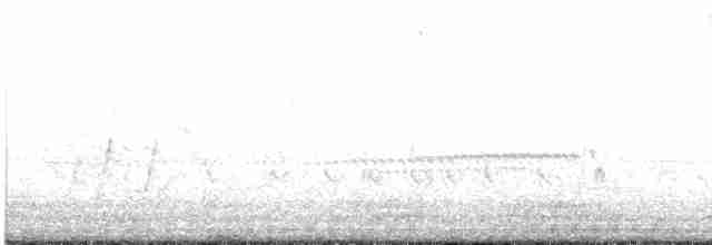 Колібрі-білозір чагарниковий - ML475161221