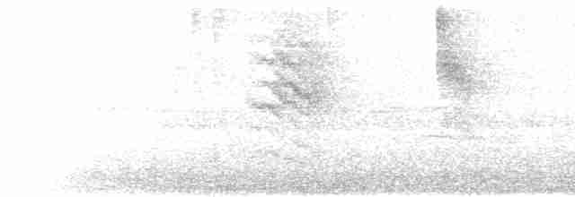 Кадук темноволий - ML475201641