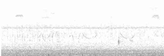 Bataklık Çıtkuşu - ML475211541