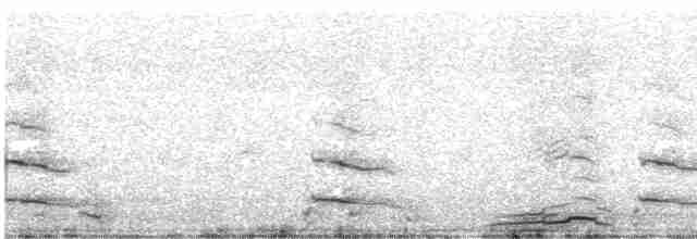 黑喉潛鳥 - ML475251251