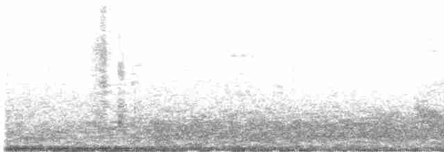 Патагонский пересмешник - ML475350721