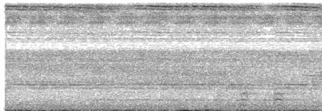 zoborožec běloprsý - ML475403501
