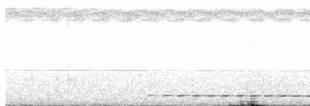 Kestane Kanatlı Çalı Timalyası - ML475405971