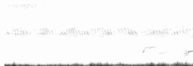 Sharp-tailed Grouse - ML475428981