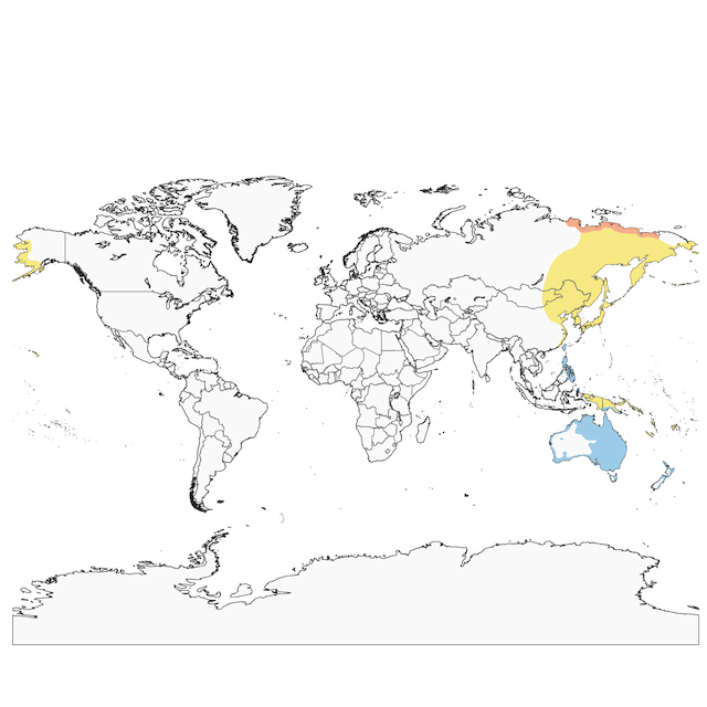 Distribution of the&nbsp;Sharp-tailed Sandpiper - Sharp-tailed Sandpiper - 