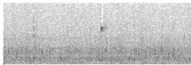Пестрокрылая трясохвостка - ML475435891