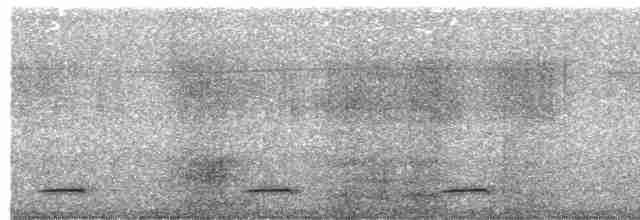 Сичик-горобець болівійський - ML475443921