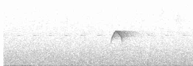 Тиран-крихітка сірощокий - ML475506841
